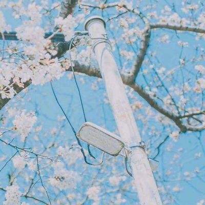 剑侠山河录果盘版下载