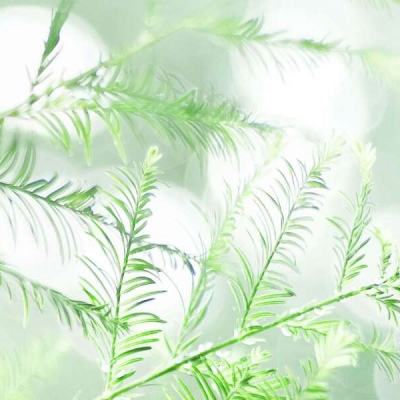 钢铁力量安智版下载
